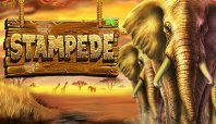 Stampede (паническое бегство)