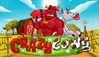 Crazy Cows (Сумасшедшие коровы)