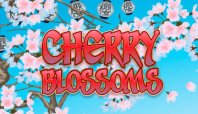 Cherry Blossoms (Цветение вишни)